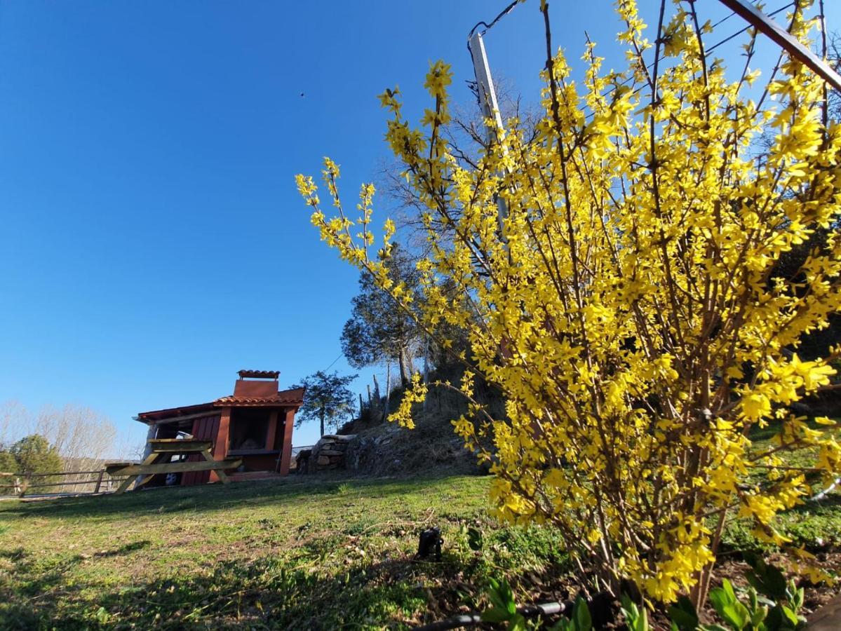 Casa Rural Manitoba Luxe Buenache de la Sierra Екстер'єр фото